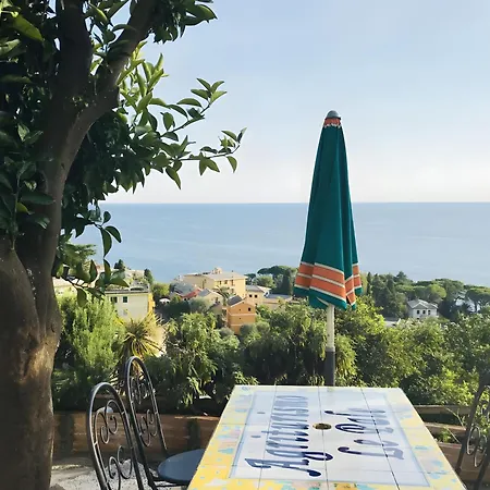 Le Pale Apartment Bogliasco